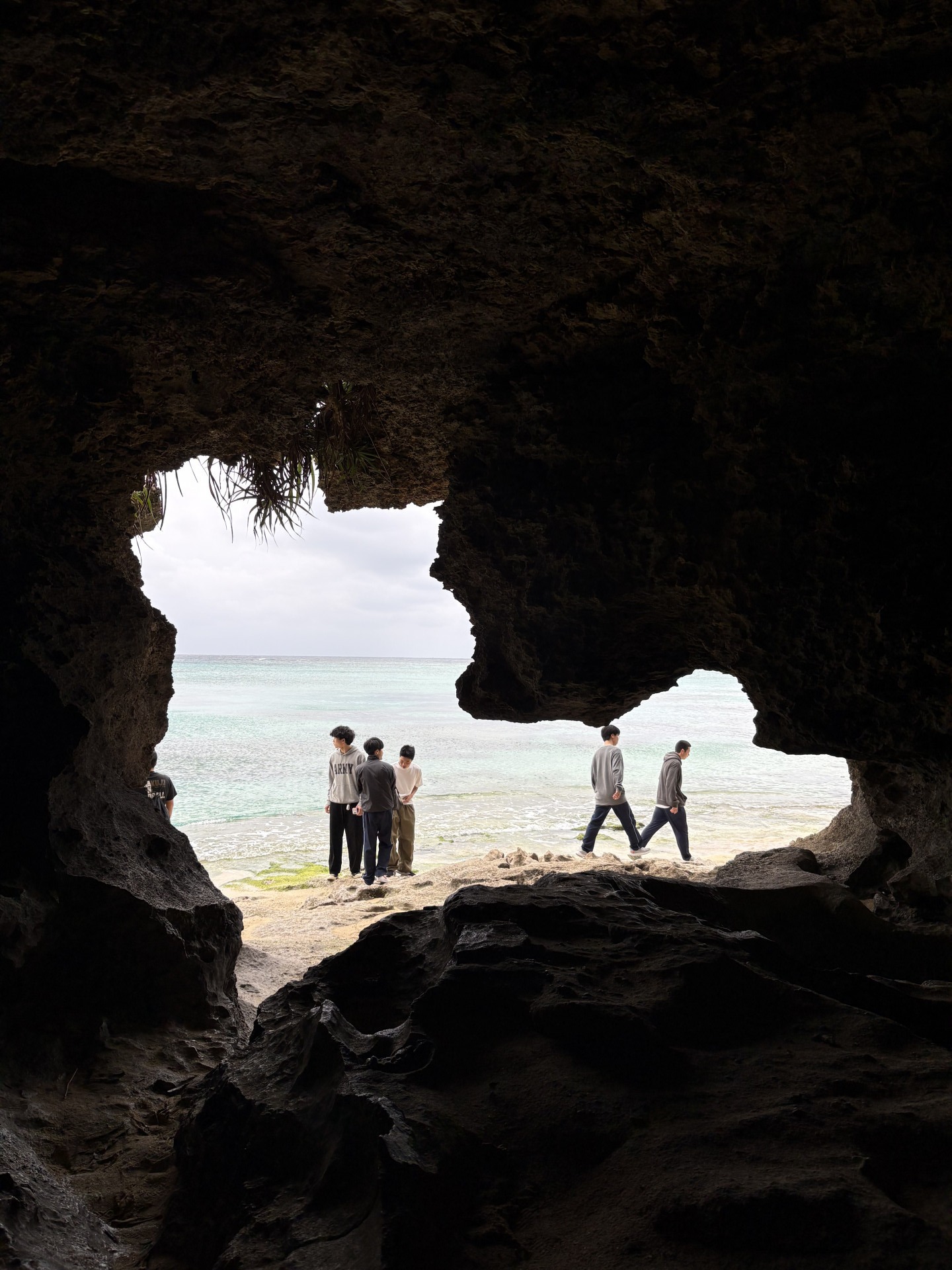 Image - 2026-02-11T163108.532